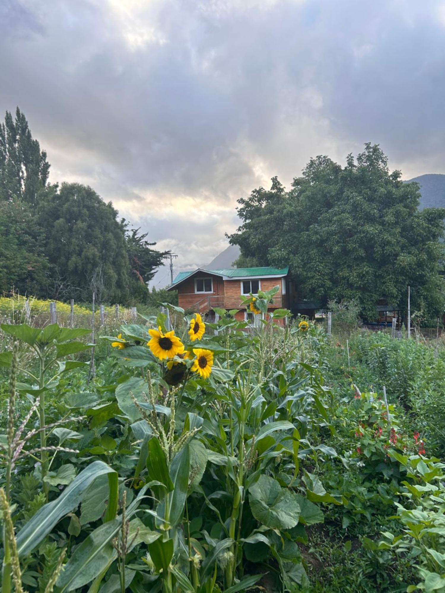 Turismo Rural Los Alpes Futaleufu Exterior photo