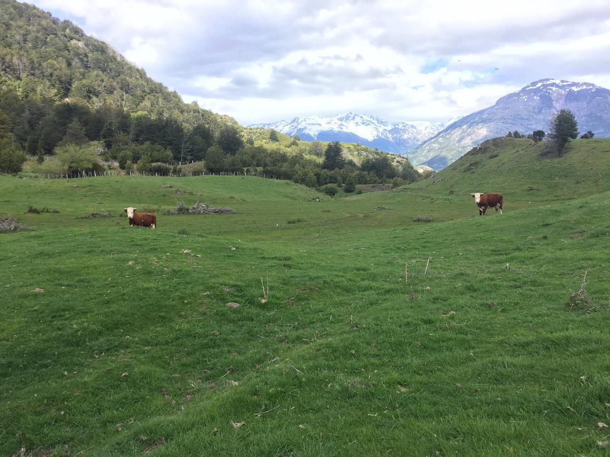 Turismo Rural Los Alpes Futaleufu Exterior photo